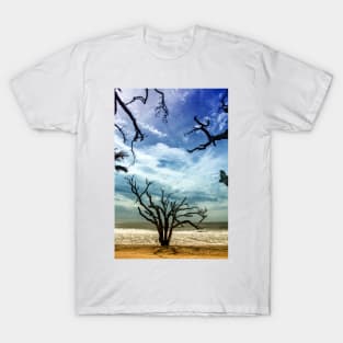 Edisto Beach South Carolina T-Shirt